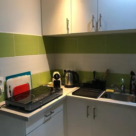 Kert Kapcsolatos Lakas Privat Parkoloval Apartment