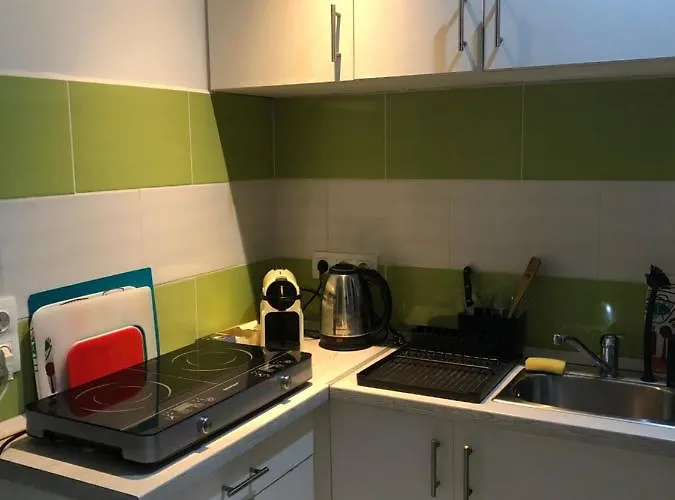 Kert Kapcsolatos Lakas Privat Parkoloval Apartament